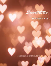 Secret Attic Booklet #22