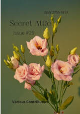 Secret Attic Booklet Issue #29
